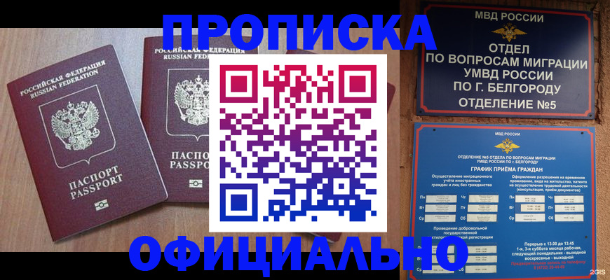 найти адрес прописки в Лесозаводске